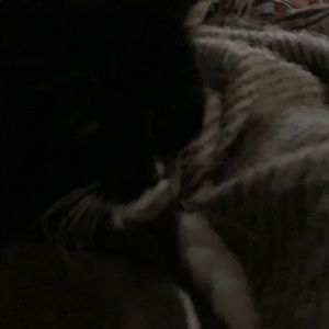 Meet your Posher, Jill